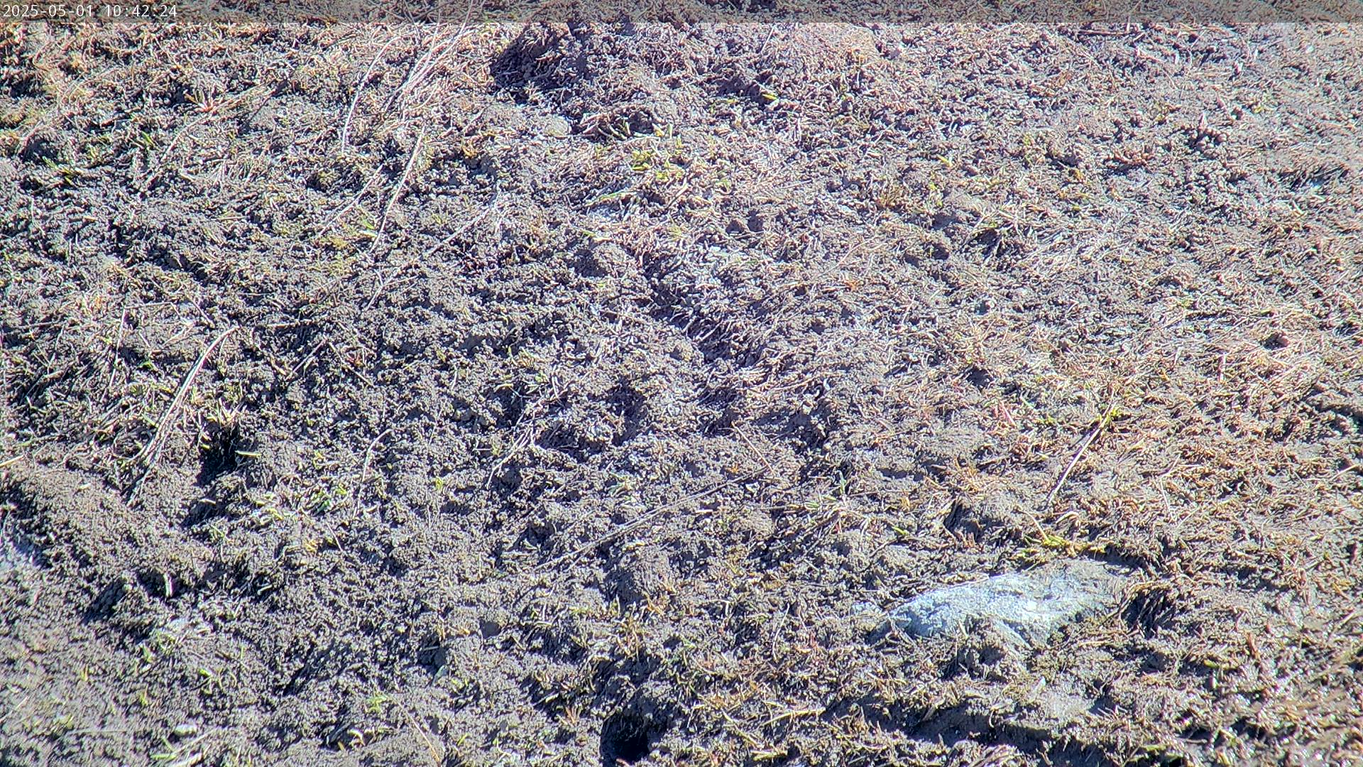 Webkamera Les Trois Vallées - ledovec Mont de Peclet